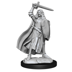 PF UNPAINTED MINIS WV14 HUMAN CHAMPION FEMALE | L.A. Mood Comics and Games